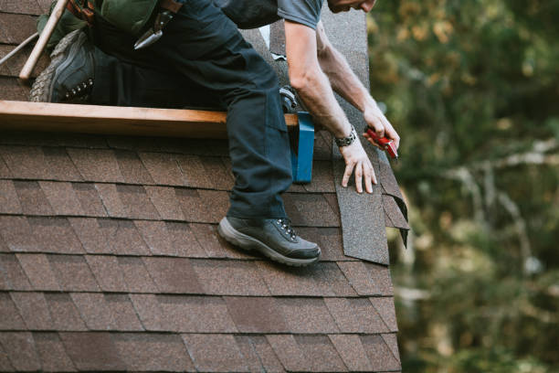 Best Metal Roofing Contractor  in Anderson, MO